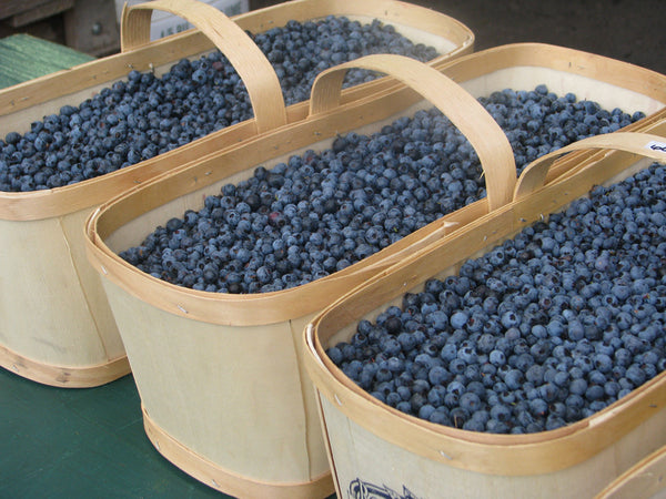 Fresh Wild Blueberries - 6 Litres (2 x 3 Litre baskets)